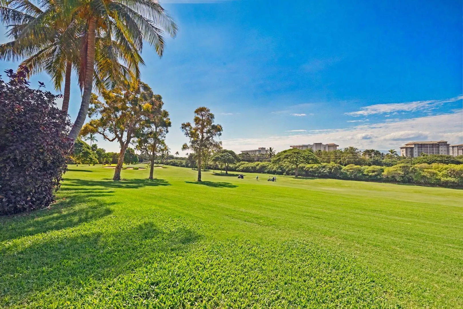 Casa de Férias Hale Holokai At Kaanapali Vista-Luxury Golf Course Ocean View Home 6 Bedroom 3 Bathroom- Lahaina